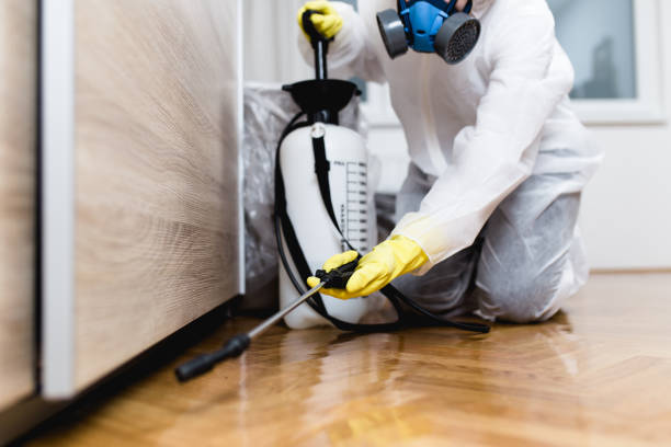 Professional Pest Control in Lake Park, FL