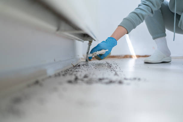 Best Pest Control for Homes  in Lake Park, FL